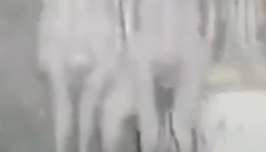 Ванземаљци, духови или нешто треће? Два чудна створења снимљена на крову куће (ВИДЕО/ФОТО)